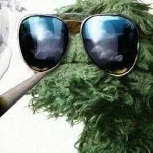 Meet your Posher, Oscar